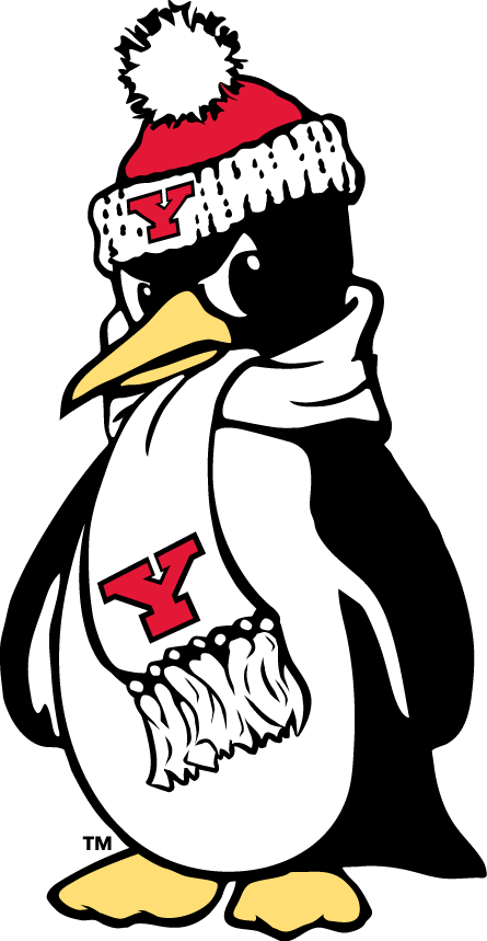 Youngstown State Penguins 1993-Pres Alternate Logo v4 DIY iron on transfer (heat transfer)
